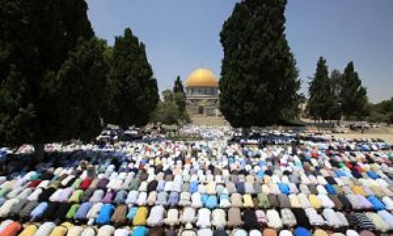 חשש מתגובה חריפה. מוסלמים בהר הבית [צילום: פלאש 90]