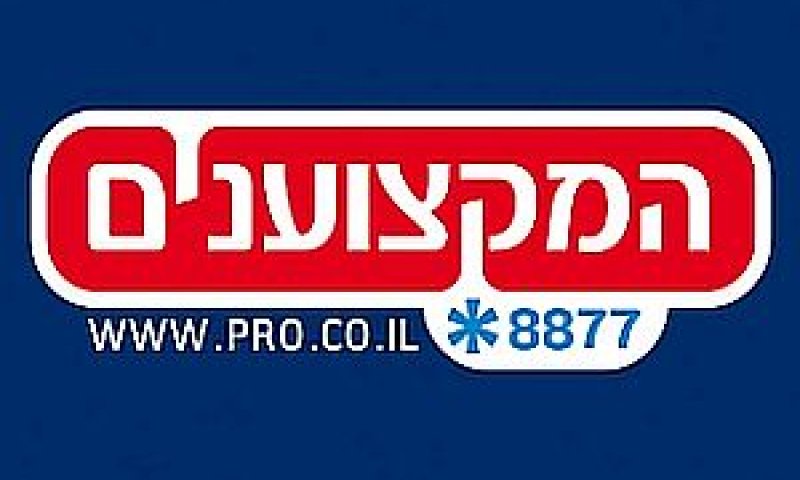 המקצוענים