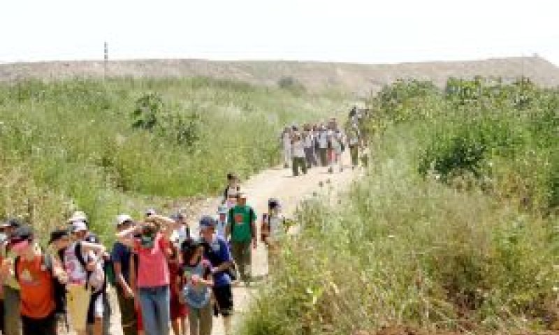 ילדים מטיילים בפארק איילון [צילום: רפי דלויה]