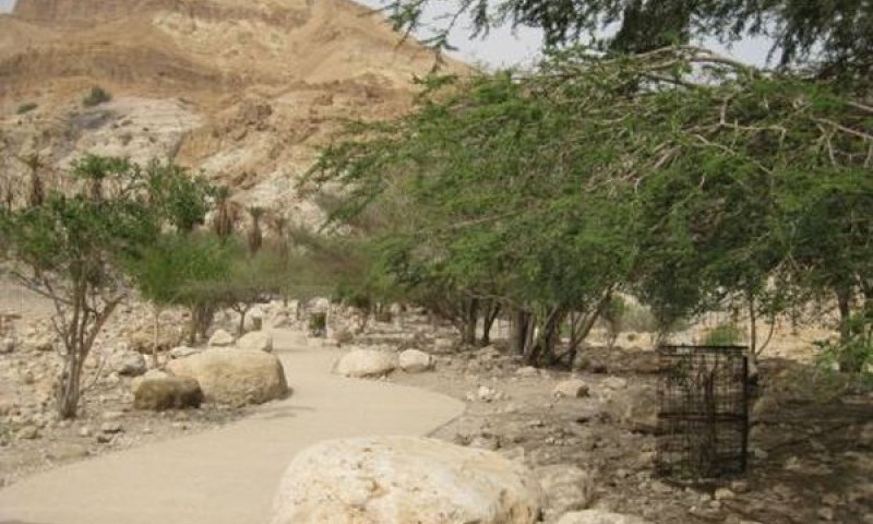 [צילום: רשות הטבע והגנים]