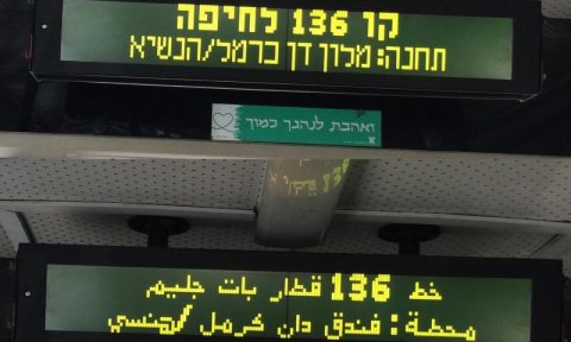 [צילום: ארי רמז]
