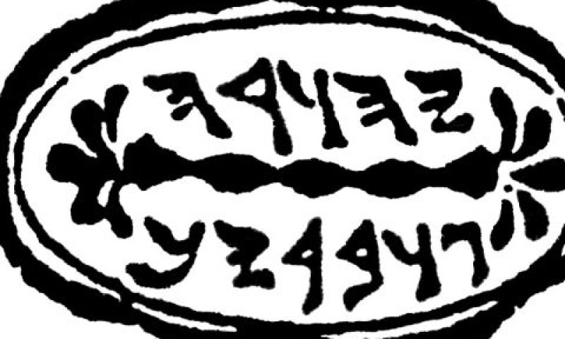 ביצעה חפירות הצלה
