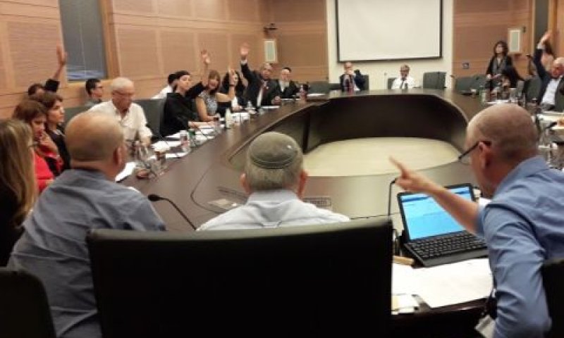 ההצבעה בוועדת חוקה [צילום: דוברות הכנסת]