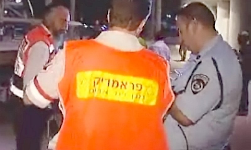 גני התערוכה הערב
