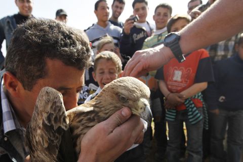 נשיקה אחרונה לפני המסע [צילום: פלאש 90]