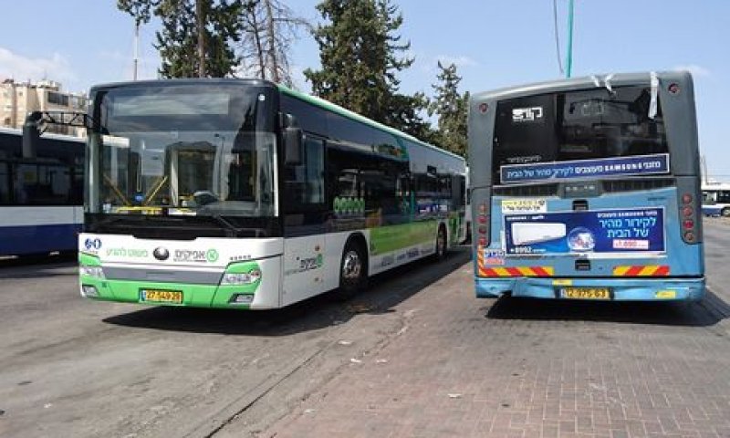 דור הולך ודור בא [צילום: אברהם שטרן]