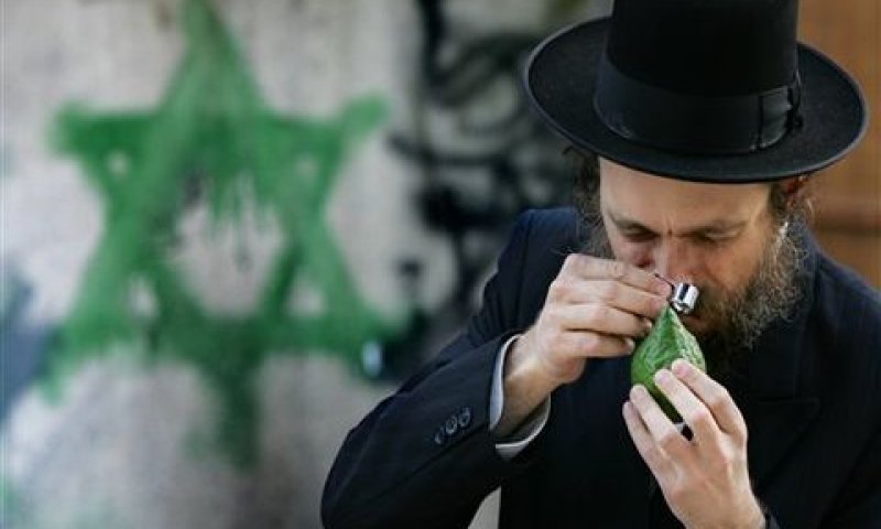 מאתרגים את אתרוג [צילום: AP]