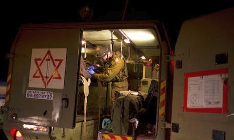 [צילום: דאוסן וראניק/AP]
