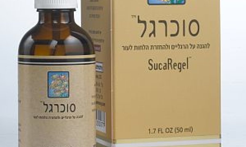 [צילום: יח"צ]
