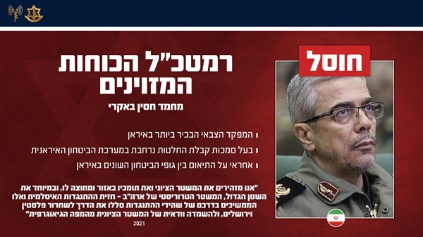 [צילום: דובר צה"ל]