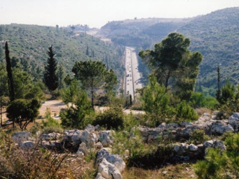 פארק רבין הכניסה לעיר [צילום: קק"ל]