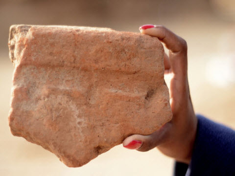 שבר מאחד האגנים אשר שימשו את המצרים הקדמונים להכנת בירה [צילום: יולי שוורץ באדיבות רשות העתיקות]