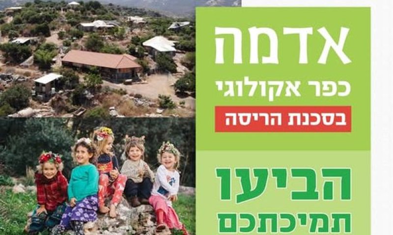 קיבלו שלושה חודשים להתארגנות [צילום: פייסבוק]
