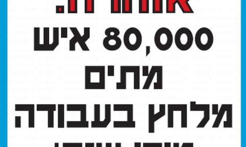 קווי חופשה [צילום: יח"צ]
