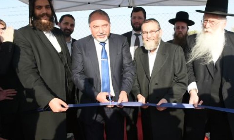 [צילום: דנה שרגא]