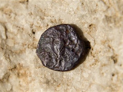 מטבע שסייעה לתיארוך [צילום: AP]