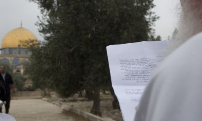 קריאת פסוקים בהר הבית [אבא ריצ&acute;מן]
