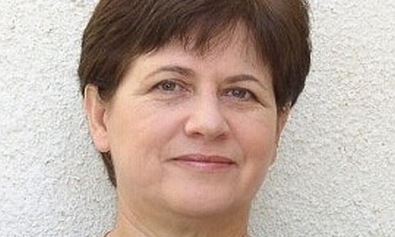 בתמונה: הפרופסור מיכל שפירא[צילום: דני מכליס]