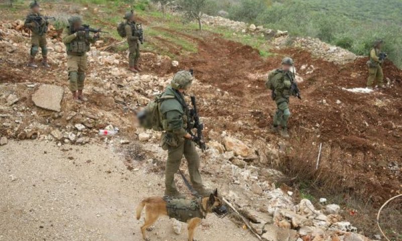 [צילום: דובר צה"ל]