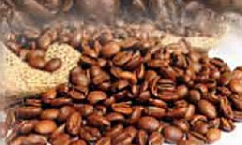 השפעה משמעותית [צילום: יח"צ]