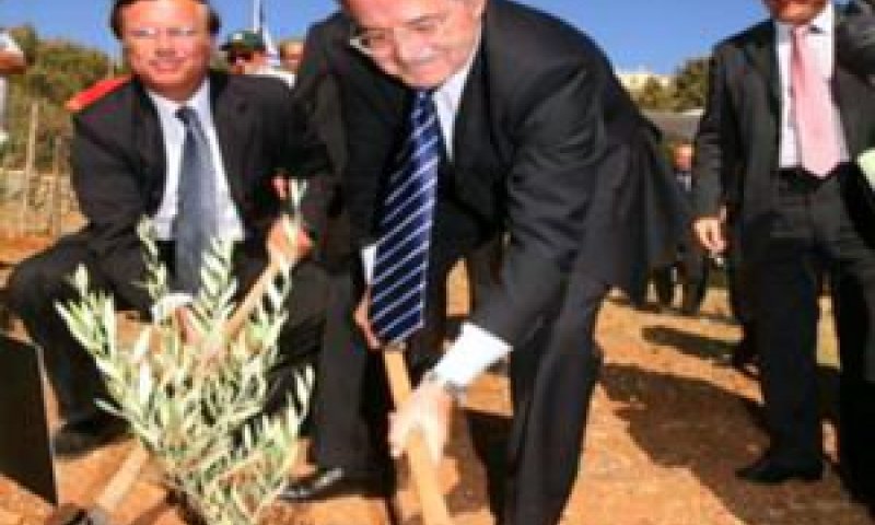פרודי נוטע זית