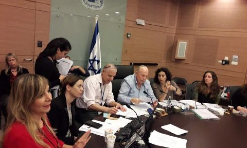 הדיון בוועדת החוקה [צילום: דוברות הכנסת]