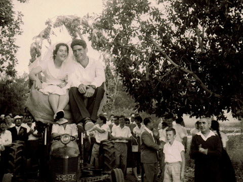 נחום ברוכי ביום חתונתו [צילום: באדיבות המשפחה]