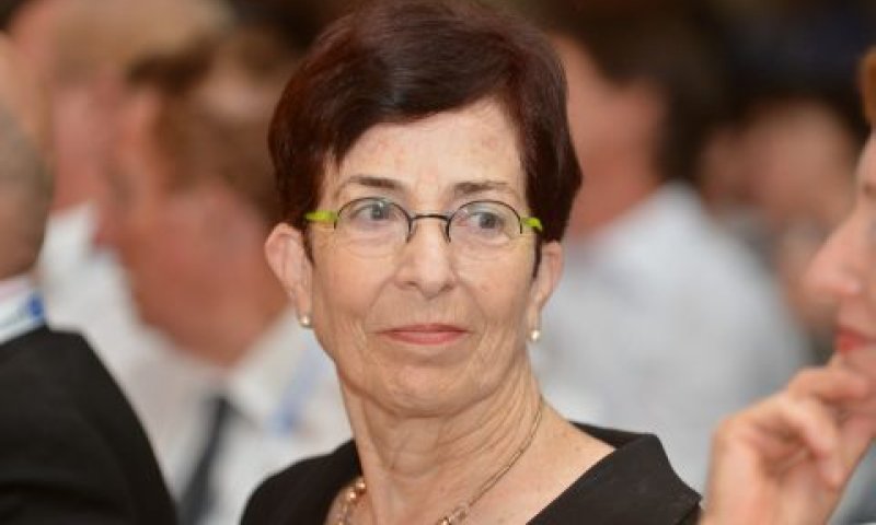 ברלינר. "בדרך המלך" [צילום: יוסי זליגר]