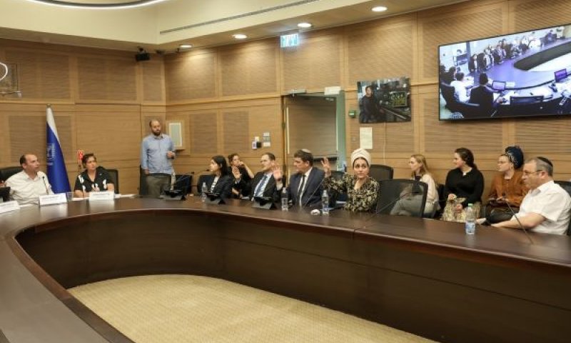 ההצבעה בוועדה [צילום: דני שם-טוב/דוברות הכנסת]