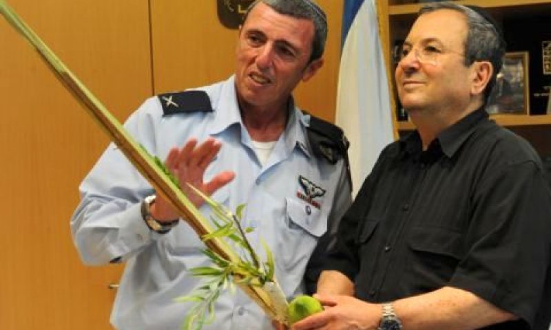 ברק. מצחצח חרבות [צילום: אלון בסון]