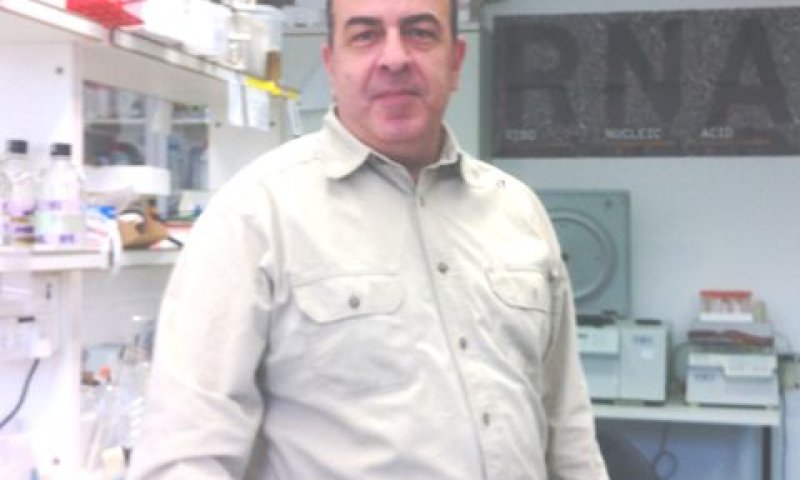 פרופ' נאיף ג'רוס [צילום: יח"צ האוניברסיטה העברית]