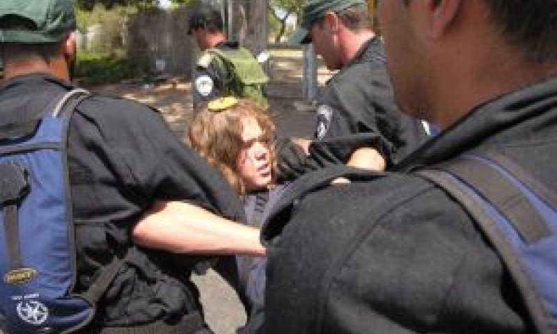 נוה דקלים בהינתקות [צילום: דו"צ]