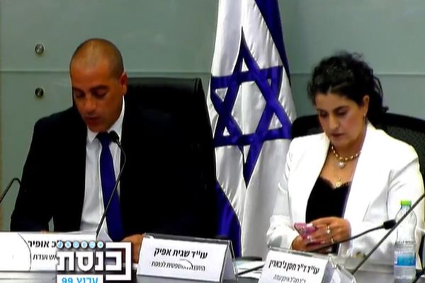 [צילום: ערוץ הכנסת]