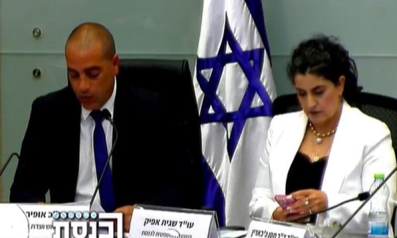 אפיק וח"כ כץ. "הדחת אדלשטיין &ndash; רק כמוצא אחרון" [צילום: ערוץ הכנסת]
