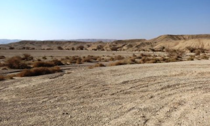 שמורת טבע מדבר יהודה, שטח אותו אמורה הרכבת לחצות ולהרוס [צילום: דב גרינבלט]