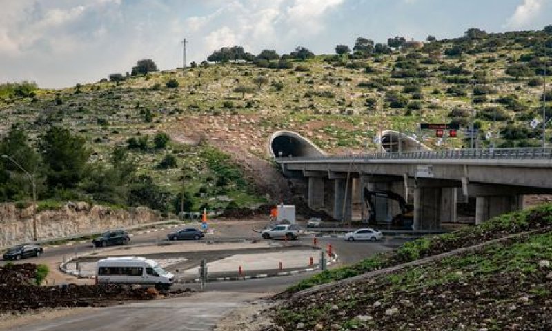 [צילום: ענת חרמון/פלאש 90]