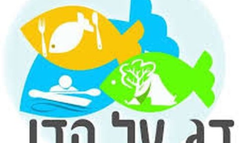 נזק משמעותי ביוני 2015