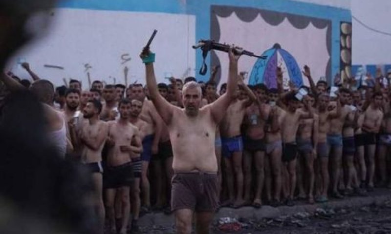 המחבלים נכנעים בתחתונים [צילום: שימוש לפי סעיף 27א לחוק זכויות יוצרים]