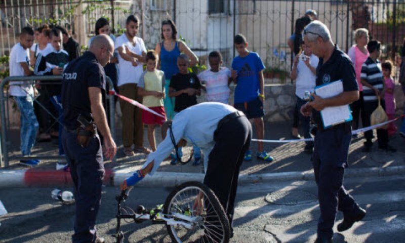 36 ילדים [צילום: יונתן סינדל/פלאש 90]