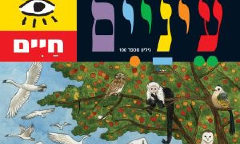 עיניים [צילום: יח"צ]