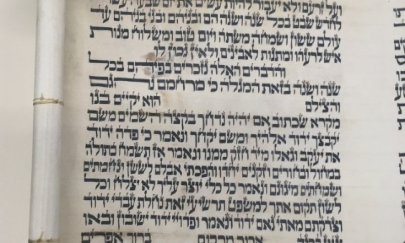 "ארור מרקוס, ברוך אפרים" [צילום: הספריה הלאומית]