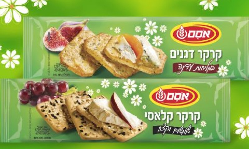 [צילום: יח"צ]