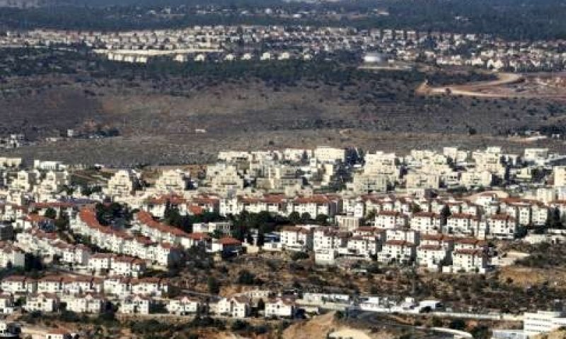 צור הדסה [צילום: פלאש 90]