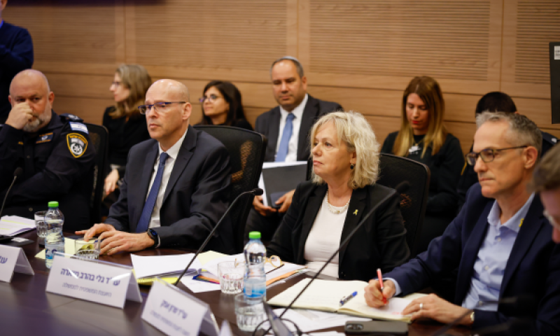 מיארה בוועדת חוקה. סירבה להשיב על חקירות תלויות ועומדות [צילום: נועם מושקוביץ, דוברות הכנסת]