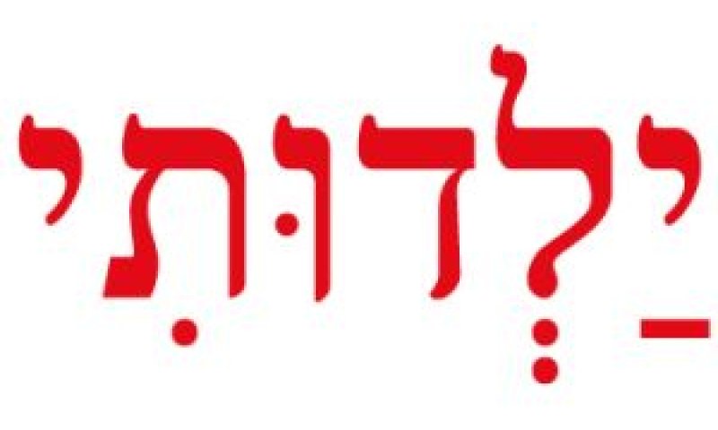 רשת ילדותי