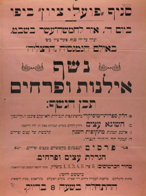 [צילום: מאוספי הספרייה הלאומית]