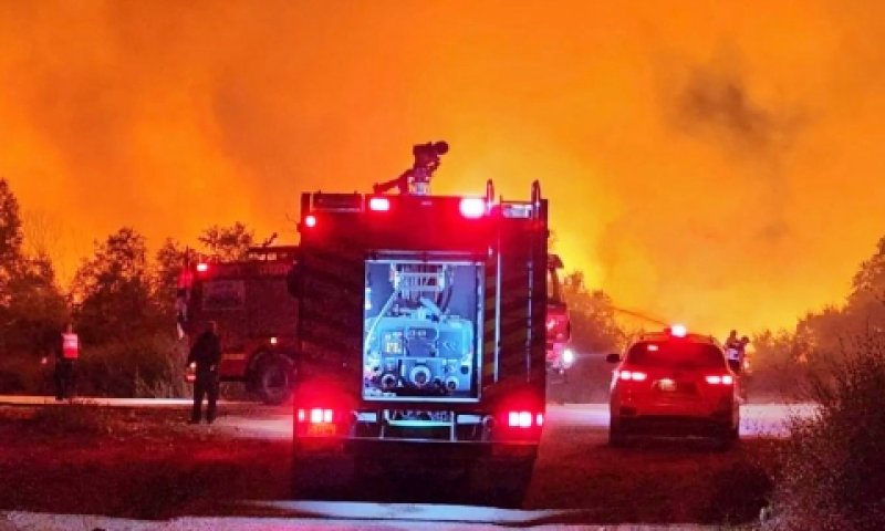 20 צוותי כיבוי פעלו הלילה לכיבוי הלהבות [צילום: דוברות נציבות כבאות והצלה]