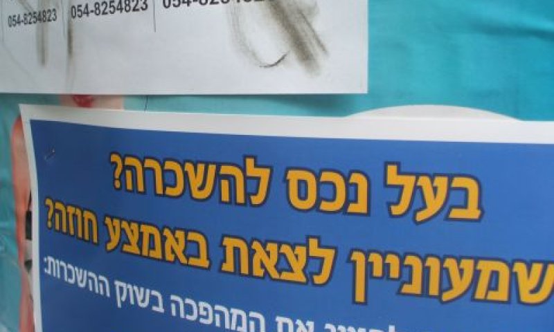 לא רק דירות להשכרה