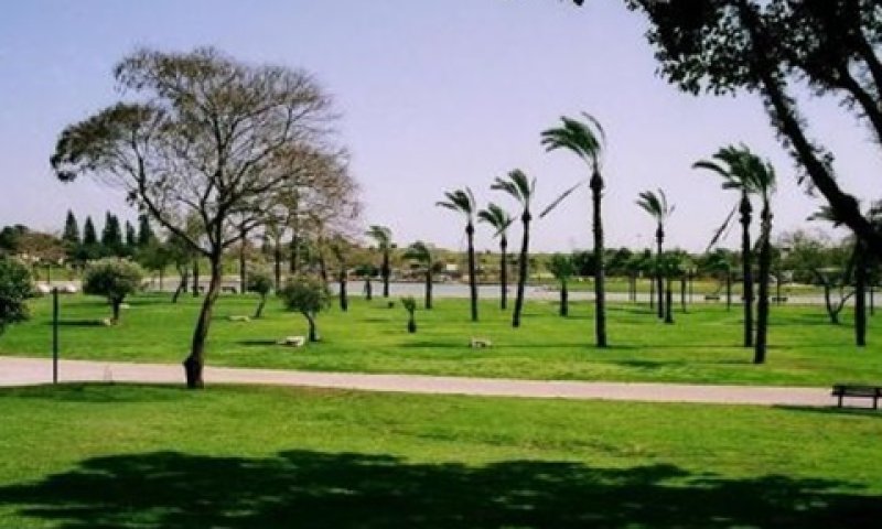 פארק בגין. "פולשים משתלטים"
