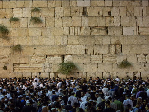 כל היהודים מרגישים רצויים [צילום: יונתן זינדל/פלאש 90]